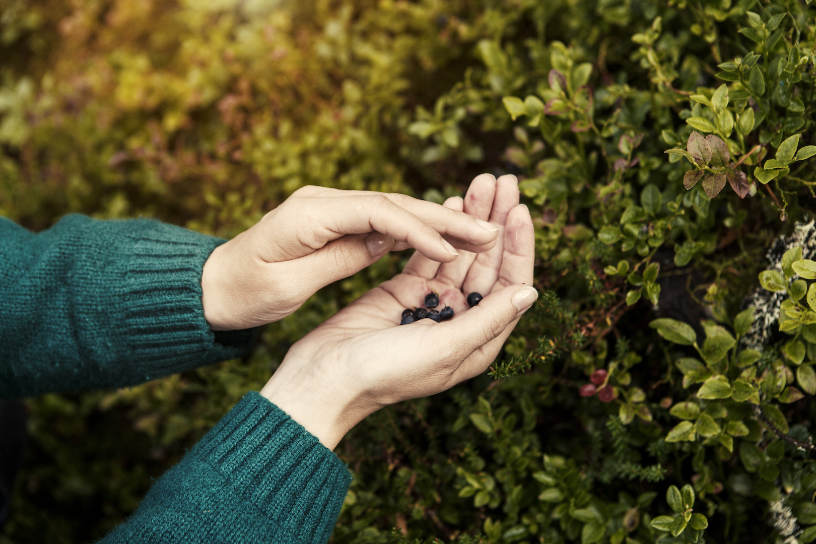 Tarinoita lähiruoan takana